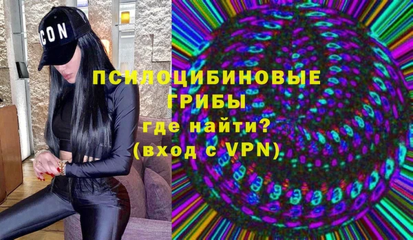 дживик Балахна