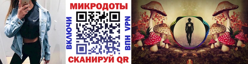Купить  Мышкин  Псилоцибиновые грибы Psilocybine cubensis 