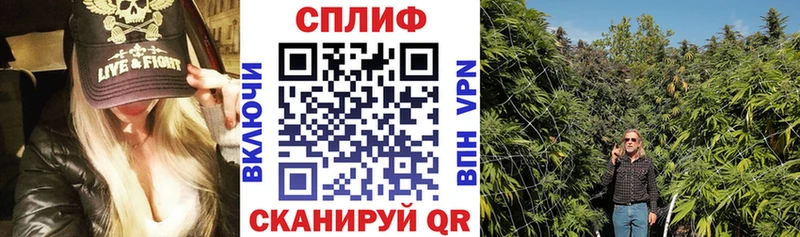 Конопля Bruce Banner  Купить  Мышкин 